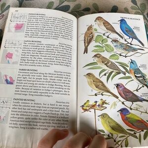 Bird book